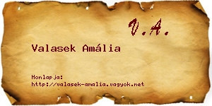Valasek Amália névjegykártya